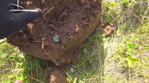 В ПОИСКЕ СОКРОВИЩ. Новая катушка !!!NEL TORNADO!!! для Garrett ACE 250