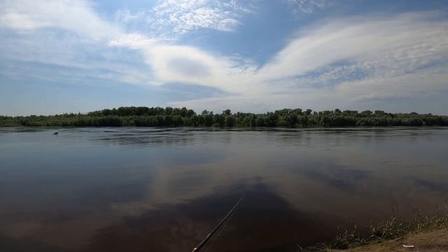 Рыбалка на спиннинг. Пулеметный клёв. Ловля судака и окуня. Рыбалка на джиг.#рыбалка #рыбалканадесн смотреть онлайн