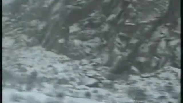 Title 08.avi смотреть онлайн