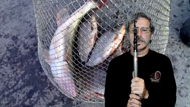 Сторожок (новое крепление) смотреть онлайн