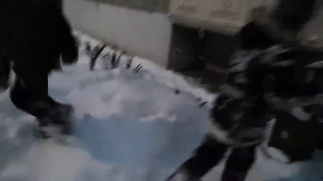 Крутой паркур 2. Снежные штаны, снежный волк и оператор смотреть онлайн