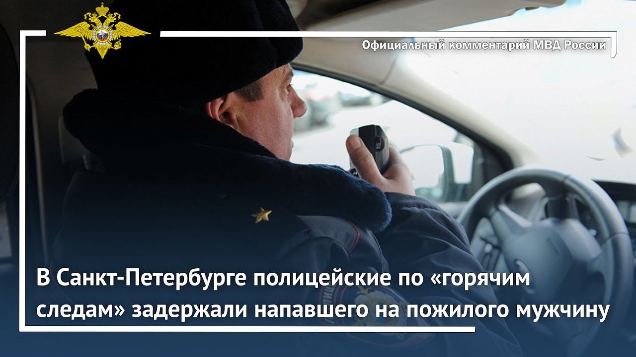 Ирина Волк: В Санкт-Петербурге полицейские по «горячим следам» задержали напавшего на пенсионера смотреть онлайн
