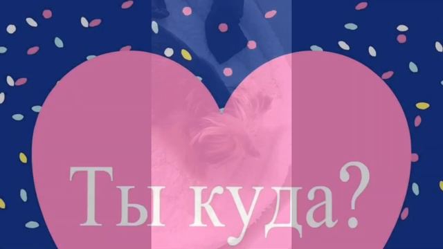 Самая лучшая собака в мире! Квартирная порода Йорк. смотреть онлайн