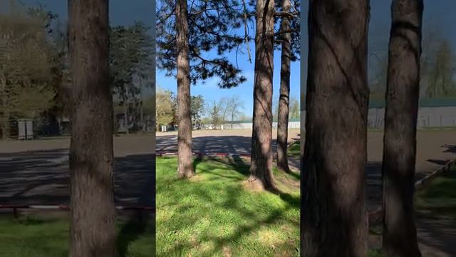 Кубанский государственный аграрный университет. смотреть онлайн