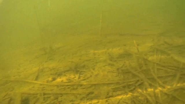 Подводная съемка камерой SJCam 5000+ Wifi смотреть онлайн