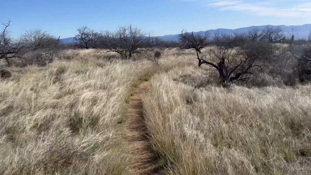 An Enchanting Turn of Events | Oracle | Arizona Trail + Utah Ep 14 смотреть онлайн