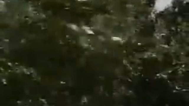 То не ветер ветку клонит ~ Олег Погудин смотреть онлайн