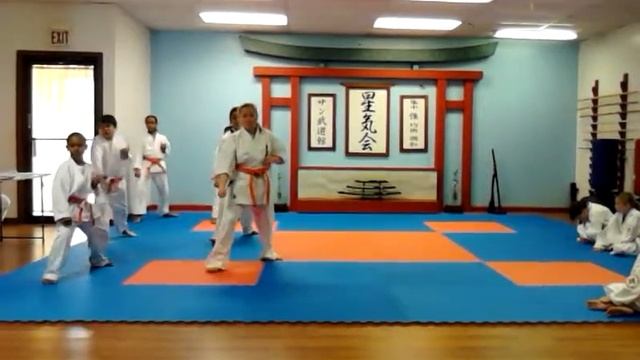 Alicia painter Karate 11 смотреть онлайн