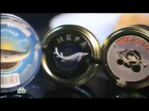 Эксперт ВНИРО  рассказала об икре для программы "Чудо техники" на телеканале НТВ '