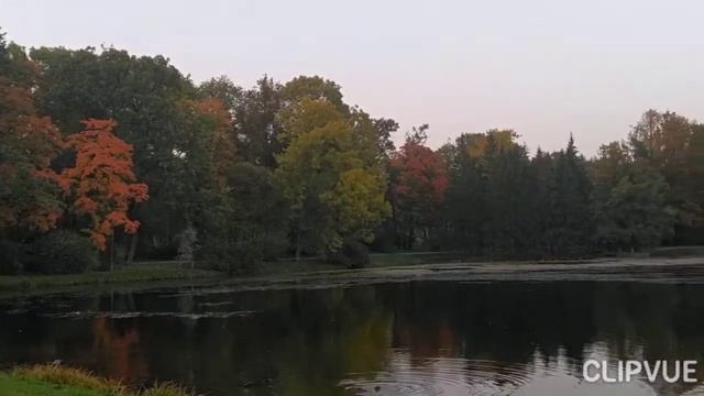 Пригороды Санкт-Петербурга Екатерининский парк в сентябре смотреть онлайн