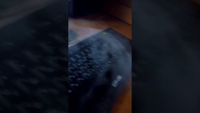 Когда один дома и совсем нечего делать. смотреть онлайн