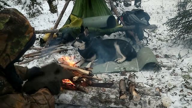 Тайга в начале зимы (прерванный рассказ) смотреть онлайн
