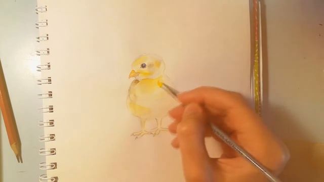 Как нарисовать цыплёнка ღ Рисунки акварелью ღ смотреть онлайн