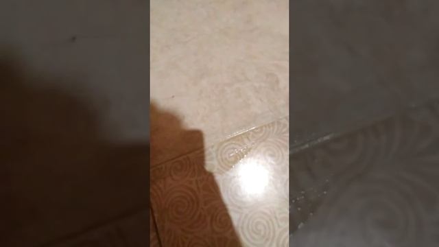 Отмыть швы между плиток. Легхо смотреть онлайн