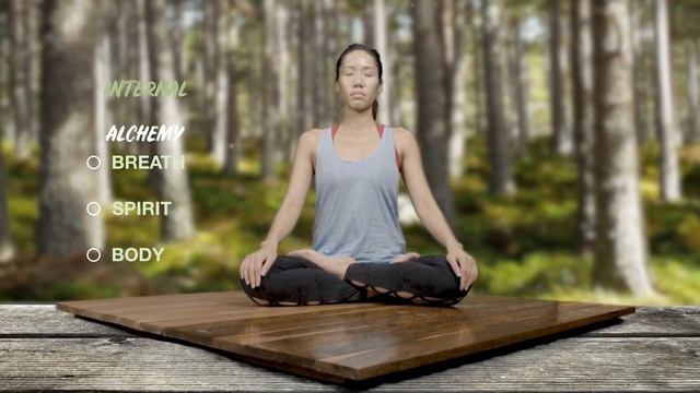 Online Qigong Intensive & Teacher Training: 5 Element Level 1-4