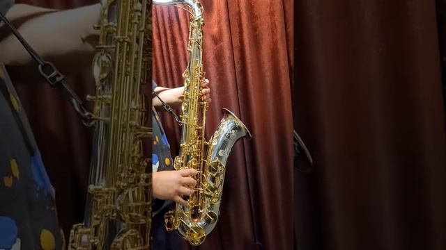 Yanagisawa T-WO37 Solid Silver Tenor Saxophone Test 시연동영상 смотреть онлайн