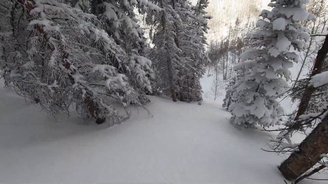 Chris Anthony & Sister Kelli Rohrig take a stroll Jan 23,2020 смотреть онлайн