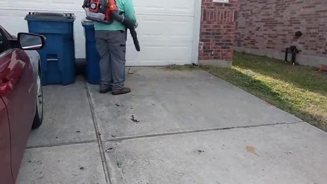 Full Length Overgrown Clean up - STIHL FS94R Tons of trimming action смотреть онлайн