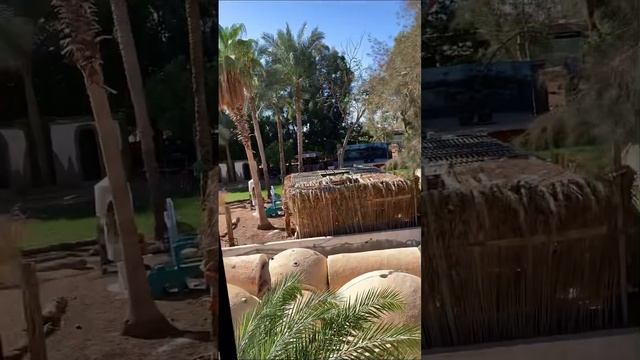 Шарм-эль-Шейх - Amar Sina Boutique Egyptian Village Hotel Egypt