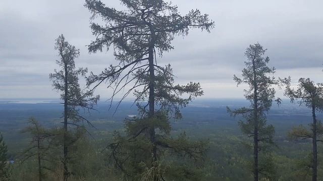 Кыштым, Челябинская область. Поднимаемся на гору Егоза с тремя детьми. Сентябрь 2022 смотреть онлайн