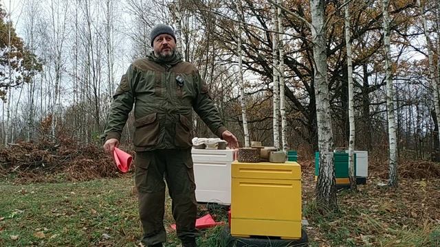 Осмотр поздних отводков в октябре. Холстик или плёнка? смотреть онлайн