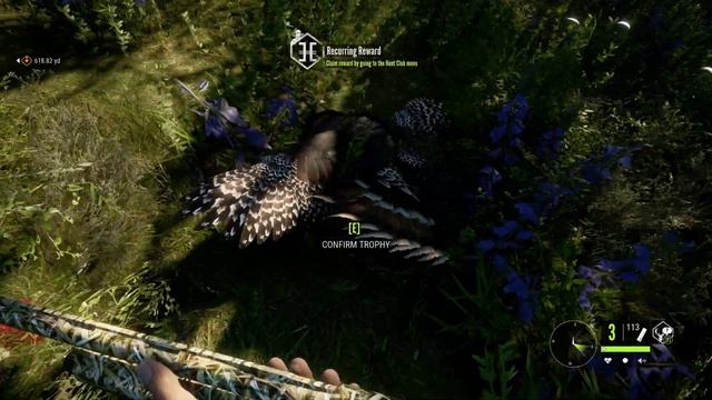 The Hunter Call of the Wild Turkey hunt смотреть онлайн