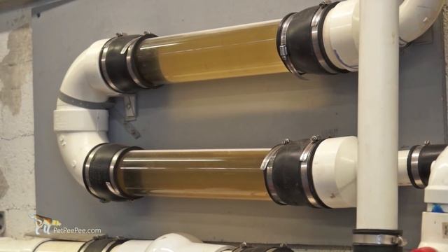 It's A Genius Cleaning Process - Oriental Rug Cleaning By PetPeePee®