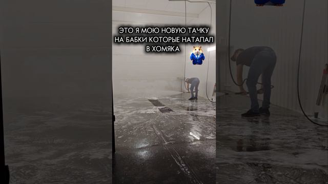Помог хомяк 🐹 #hamsterkombat #москвич3 #топ #юмор #shortvideo #рекомендации #топчик смотреть онлайн