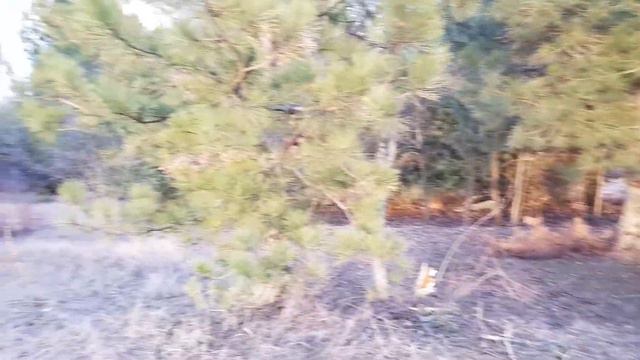 Делаем КАС 81 часть 1 смотреть онлайн