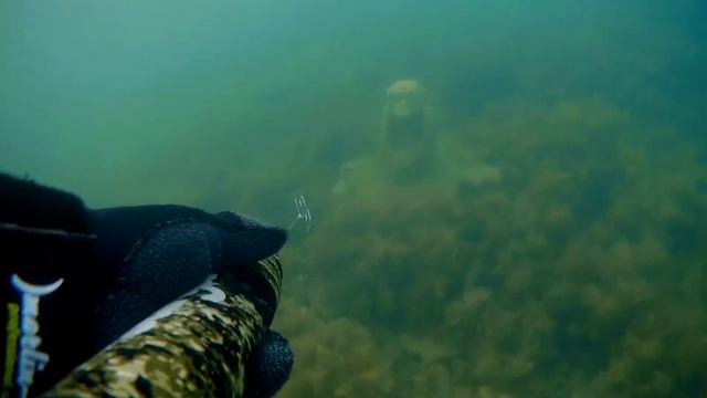 На глубине 10 метров. Черное море. Охота смотреть онлайн