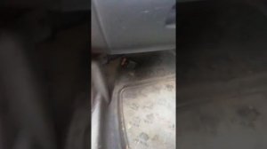 Не работает печка, Ниссан марч, почему? Причины? Как исправить?