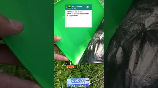 Анекдот про русского, немца и американца на острове ? #анекдоты #юмор #мемы #смех #шутки смотреть онлайн