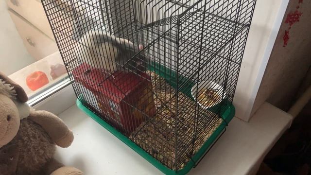 ребенок в 16 👶🏼 история любви 🥺👉🏻👈🏻❤️ смотреть онлайн