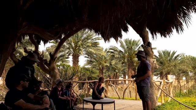 9.??Ферма CROCOLOCO. Крокодиловый питомник. Израиль смотреть онлайн