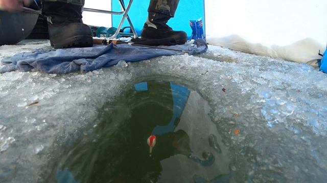 шаблиш лещ клев ловля со льда зимняя рыбалка жор взрыв льда шок топ видео шокирующее всех ужас смотреть онлайн