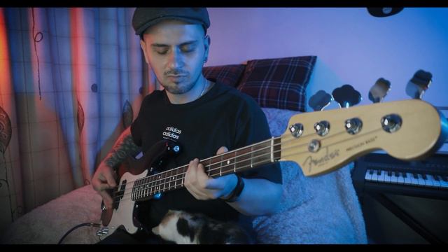 Lady Gaga - Stupid Love | Bass Cover смотреть онлайн