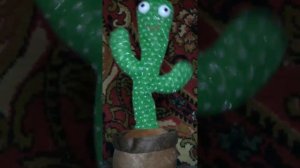 танцующий кактус
