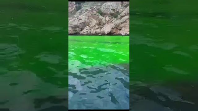 [ Альбом ]
⚠️ Вода у берегов Крыма стала кислотно-зеленой! Фото сделали в Балаклаве. И.о. зама губе смотреть онлайн