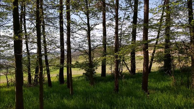 [0273]🙏 Евангелие по Матфею глава 13