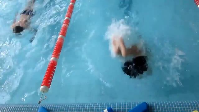 2016-05-14, Совместная тренировка Бориспольской ДЮСШ и Киевской школы плавания "Старт" смотреть онлайн