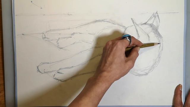 Сияющий Кот. Часть 1. Карандашное построение.