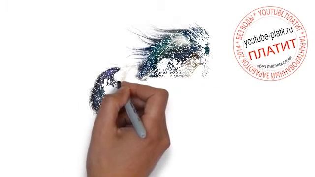 Как нарисовать лошадь для начинающих Как научиться рисовать лошадь смотреть онлайн