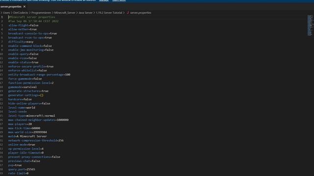 Minecraft Java Server KOSTENLOS erstellen! | DerCoderJo смотреть онлайн