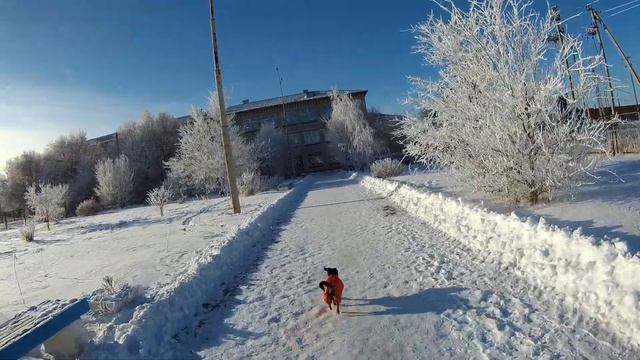 Зимняя сказка! смотреть онлайн