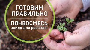 Земля для рассады ? Универсальный грунт своими руками? Как приготовить правильную смесь