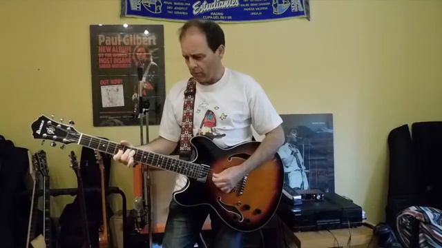 Con la piel muy dura / Ibanez AS73L смотреть онлайн