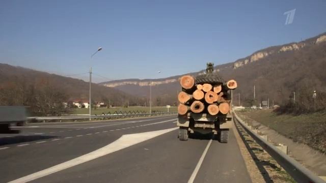 Лесная охрана на страже лесов смотреть онлайн