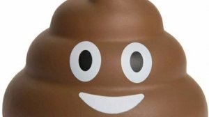 что делать если захотел покакать