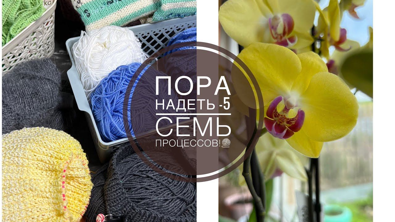 СП ПОРА НАДЕТЬ *5. СТАРТ. Семь процессов! смотреть онлайн