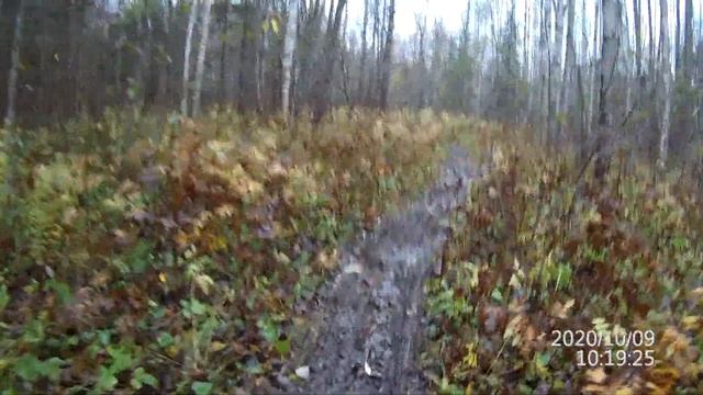 Мототолкач осенью по лесной дороге смотреть онлайн
